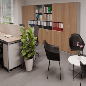 Mobilier Cancelarie